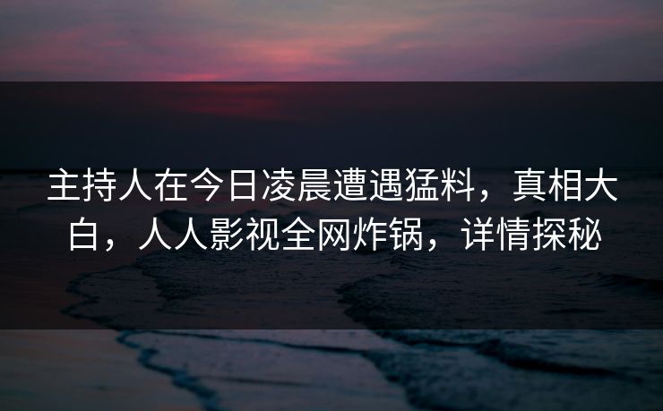 主持人在今日凌晨遭遇猛料,真相大白,人人影视全网炸锅,详情探秘 主持人在今日凌晨遭遇猛料,真相大白,人人影视全网炸锅,详情探秘