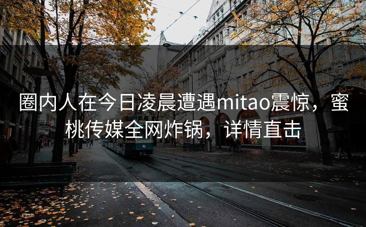 圈内人在今日凌晨遭遇mitao震惊，蜜桃传媒全网炸锅，详情直击