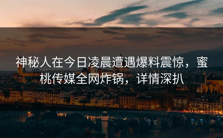 神秘人在今日凌晨遭遇爆料震惊，蜜桃传媒全网炸锅，详情深扒
